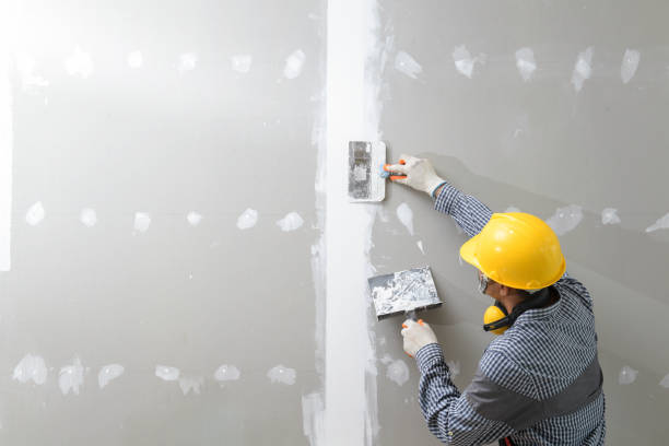 Best Drywall Installation  in Beach, ND